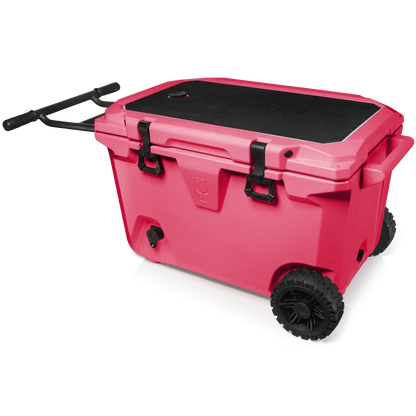 Brutank 55qt